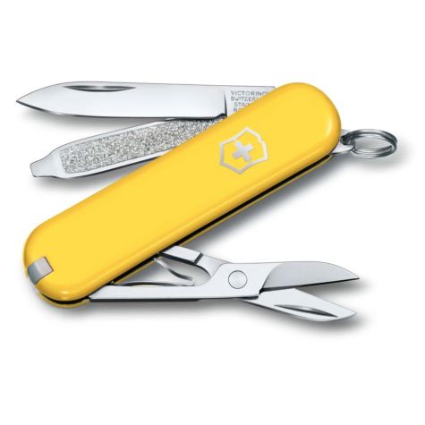 Victorinox Classic SD Classic Pocket Knife in Bold, Vivid Colors - 0.6223.8G